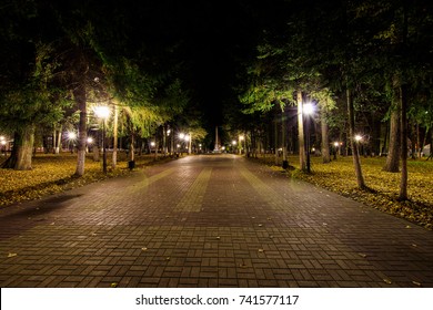 City night park in autumn with paths strewn, fallen yellow leaves, benches, lights and spruce trees. Landscape. - Powered by Shutterstock