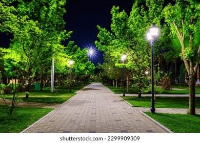 City night park in early summer or spring with pavement, lanterns, young green lawn and trees. Landscape. - Powered by Shutterstock