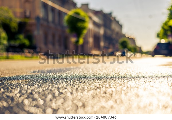 City on a sunny day, a quiet street after rain\
with trees and cars. View from the level of asphalt, image in the\
yellow-blue toning
