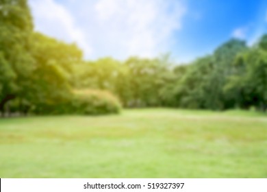 City Park Background. Blurred Park.