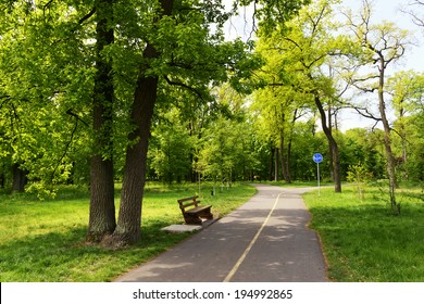 City Park With Bench, Bicycle Road And Footpath