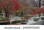 
City park in Charlotte, NC with fall foliage.