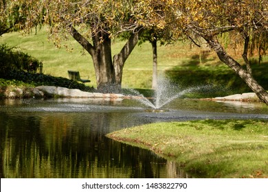 City Park In Concord, California.