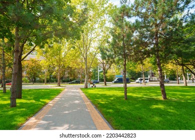 city park in day, beautiful nature, trees and lawns, late summer and early autumn season, the path of paving slabs, urban architecture, street and random people - Powered by Shutterstock