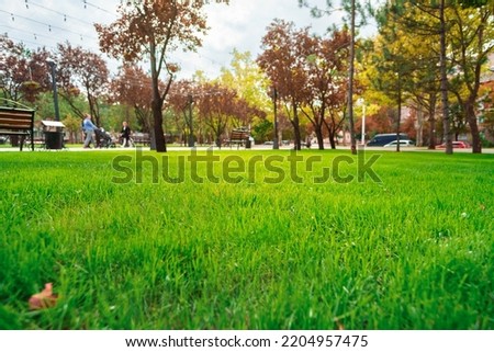 city park in day, beautiful nature, trees and lawns, late summer and early autumn season, urban architecture, street and random people