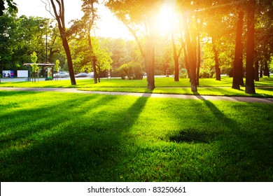 City Park With Green Grass And Trees At Sunset Light