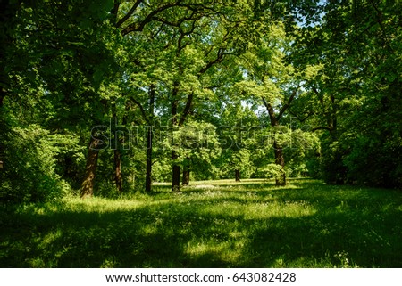 Similar – Image, Stock Photo Path in an oak grove path