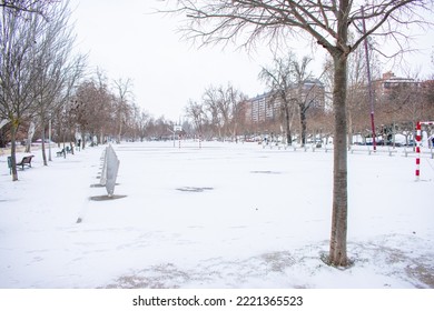 a city park meadow with snow in winter