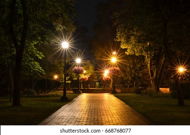 City Park In Night