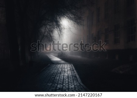 City park at night in fog.