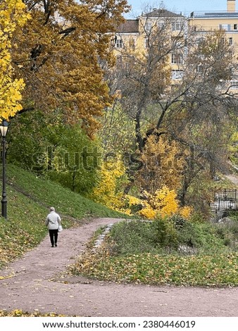 City park in ravine. Woman walks among autumn trees and leaf fall. Yellow house in the background. A road of sand leads down to the bridge. Golden autumn, beauty and tranquility of northern nature.