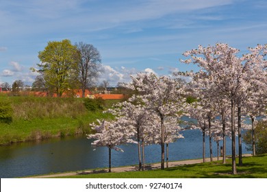 City Park In The Spring, Copenhagen, Denmark