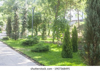 City park at sunny summer day. A lot of green trees in sunlight beside pathwalk. - Shutterstock ID 1907368495