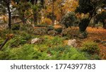 city park of Wiener Neustadt in the fall - playground in the background
Wiener Neustadt - Lower Austria/Austria