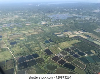 The city pattern 