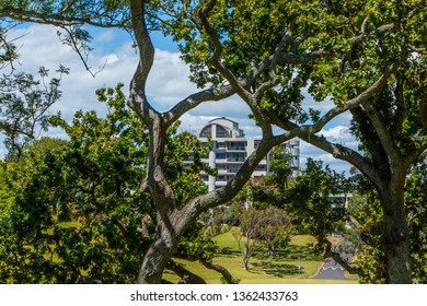 City Scape Auckland