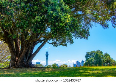 City Scape Auckland