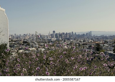 City Scape In New York And Sf