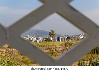City from a shape
