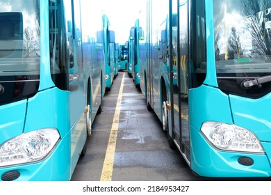 City Shuttle Buses Rank At Frankfurt Bus Station In Germany, Green Vehicle Public Transport Concept, Transport Companies Strike, Transport Facilities For People, Frankfurt - June 2022