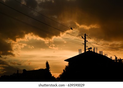 City Sillhouette On A Sunset 