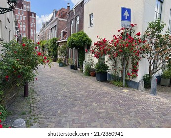 City street with beautiful buildings and blooming plants - Shutterstock ID 2172360941