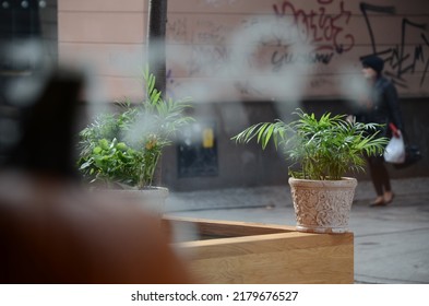 City Street View On Outdoor Plants On The Edge Of The Wooden Platform In The Street With Blurred Walking By Women, Graffiti Wall, Secretly Looking Outside Stalker