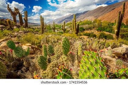 City Of Tilcara In Argentina