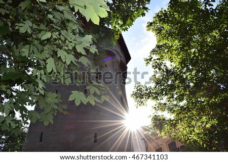 Similar – sonnenstern für christine