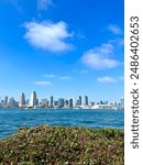 City view of downtown San Diego, California by the water