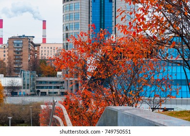 City View. Look From Above From An Autumn Park With Bright Trees To A Modern Office Building And To Old Residential Buildings. Pipe Boiler Room With Smoke. With The Blur