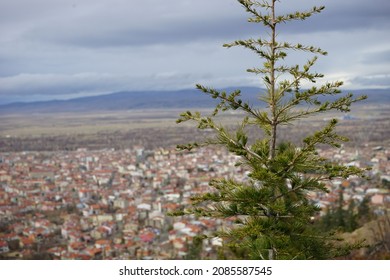 City View From Turkey. Many Colorful Houses