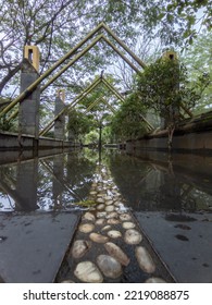 City ​​park With Water Beetles