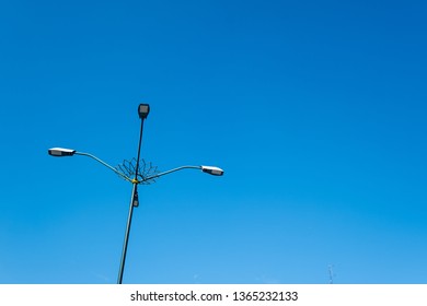 Citylight With Blue Sky