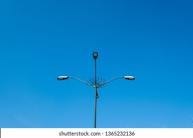 Citylight With Blue Sky