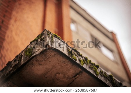 Cityscape close-up of an urban apartment building, showcasing the coexistence of natural moss growth on architectural elements, highlighting the interplay between architecture and nature.