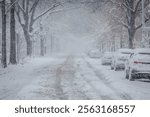 Cityscape during heavy Snowfall - Streets, Cars and Street Trees covered in Snow; Copy Space