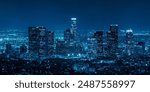 Cityscape Los Angeles at night. Travel and landscape photography