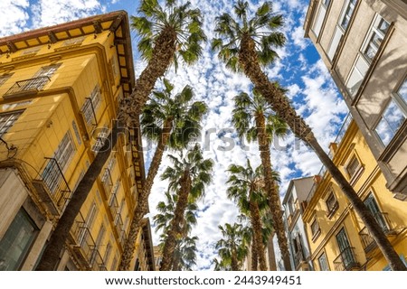 Similar – Image, Stock Photo Malaga, Spain. Panorama Cityscape Elevated View Of Malaga In Sunny Summer Evening. Altered Sunset Sky