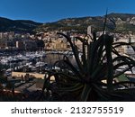 Cityscape of Monaco at the French Riviera with yacht boats mooring in Port Hercule surrounded by residential high-rise buildings with the silhoutte of an Aloe in front. Focus on plant.