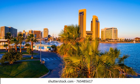 Cityscape Paradise Along Tropical Corpus Christi , Texas Palm Tree View In Front Of The Skyline  Marina View Of The Amazing Coastal Bend City At Sunrise