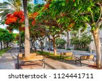 Cityscape of  Rothschild boulevard  in Tel Aviv, Israel.