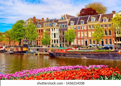 Cityscape view of the canal of Amsterdam in summer with a blue sky and traditional old houses. Colorful spring tulips flowerbed on the foreground. Picturesque of Amsterdam, The Netherlands