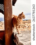 Cityscape view of the Hidirlik hill, you can survey the whole city. Safranbolu Hidirlik Hill, Safranbolu, Turkey. 25 Dec. 2024