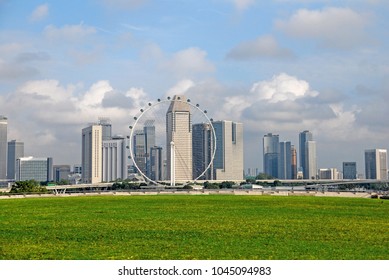 Cityscape View Of Singapore Flyer With Green Grass From Marina Barrage Park Singapore - Landscape City Travel And Outdoor Scenic 