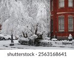 Cityscape in Washington, DC, USA with typical House with red Brickstone, and Trees and Sidewalk covered with Snow during Winter