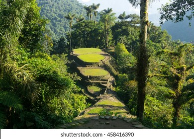 Ciudad Perdida (The Lost City)