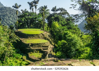 Ciudad Perdida (The Lost City)