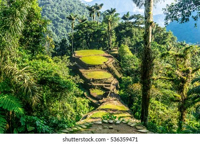 Ciudad Perdida (The Lost City)