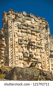 Ciudad Prehispanica De Uxmal